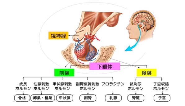 概要