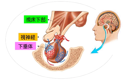 概要