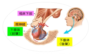 概要