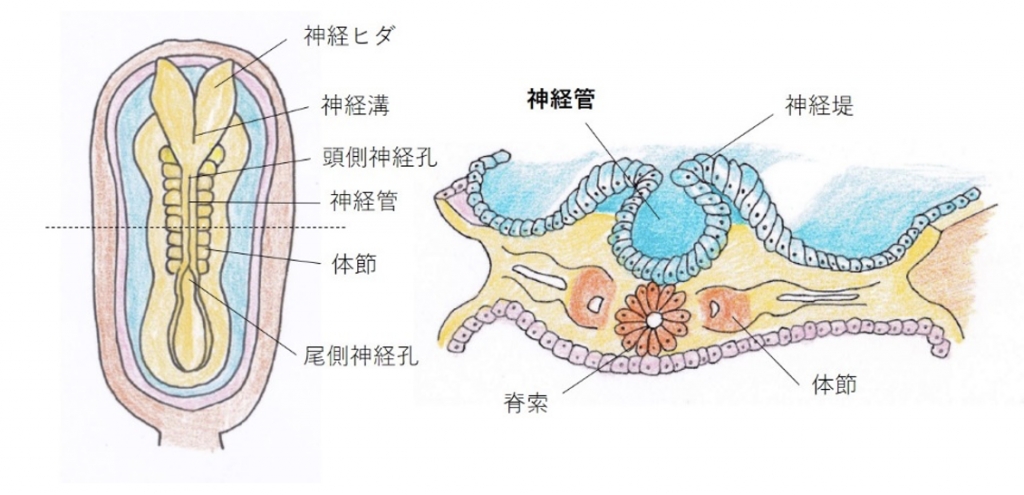 概要